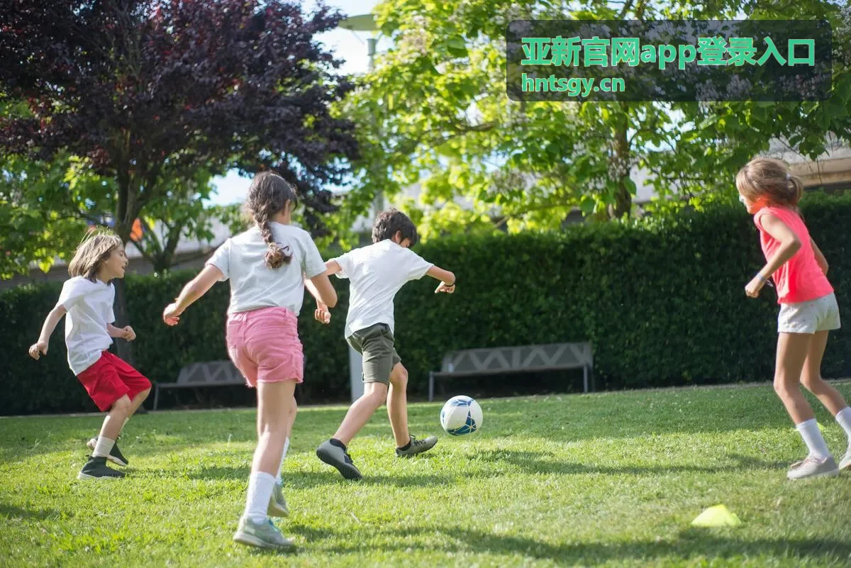亚新官网app登录入口安装完成后的自查操作示意